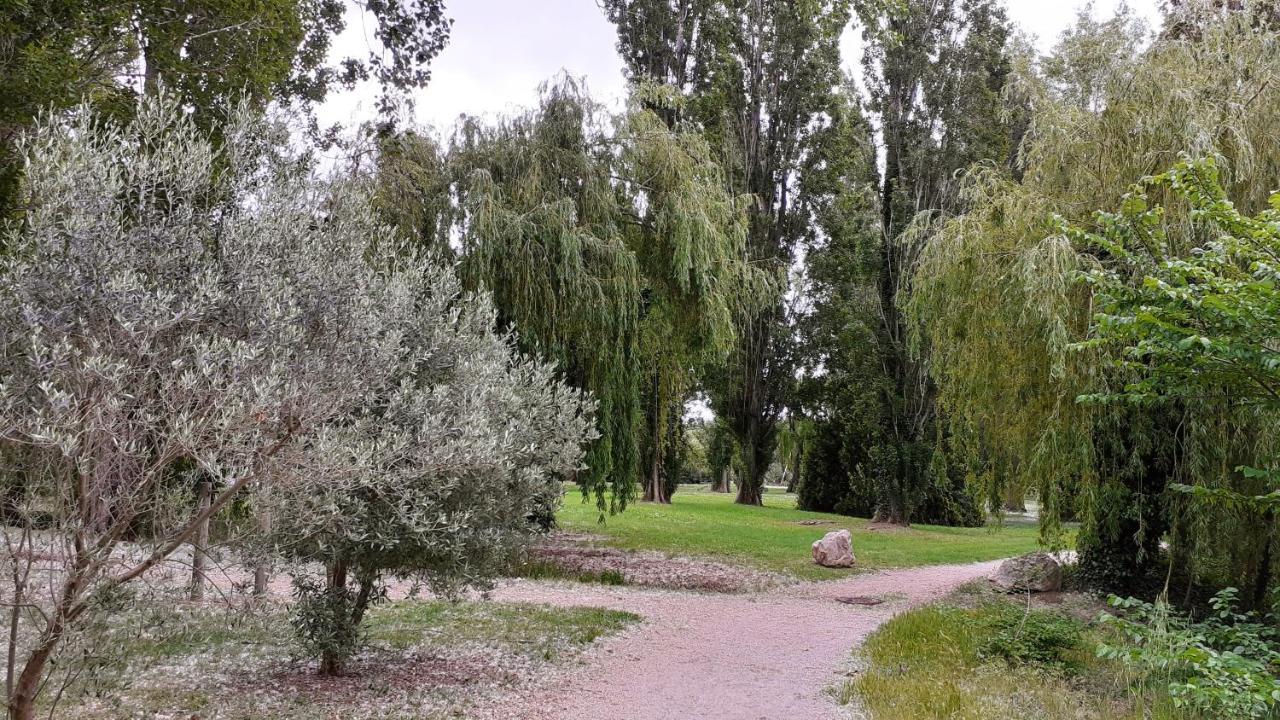 Studio 24 M2 - Hameaux De Camargue - Village 9 - 13200 Arles Exterior foto